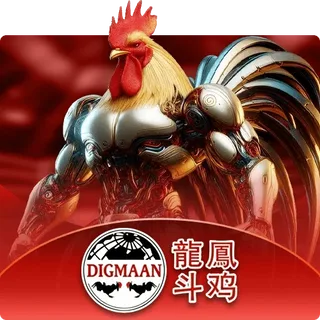 DIGMAAN.webp