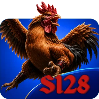 S128.png