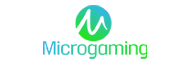 microgaming.webp